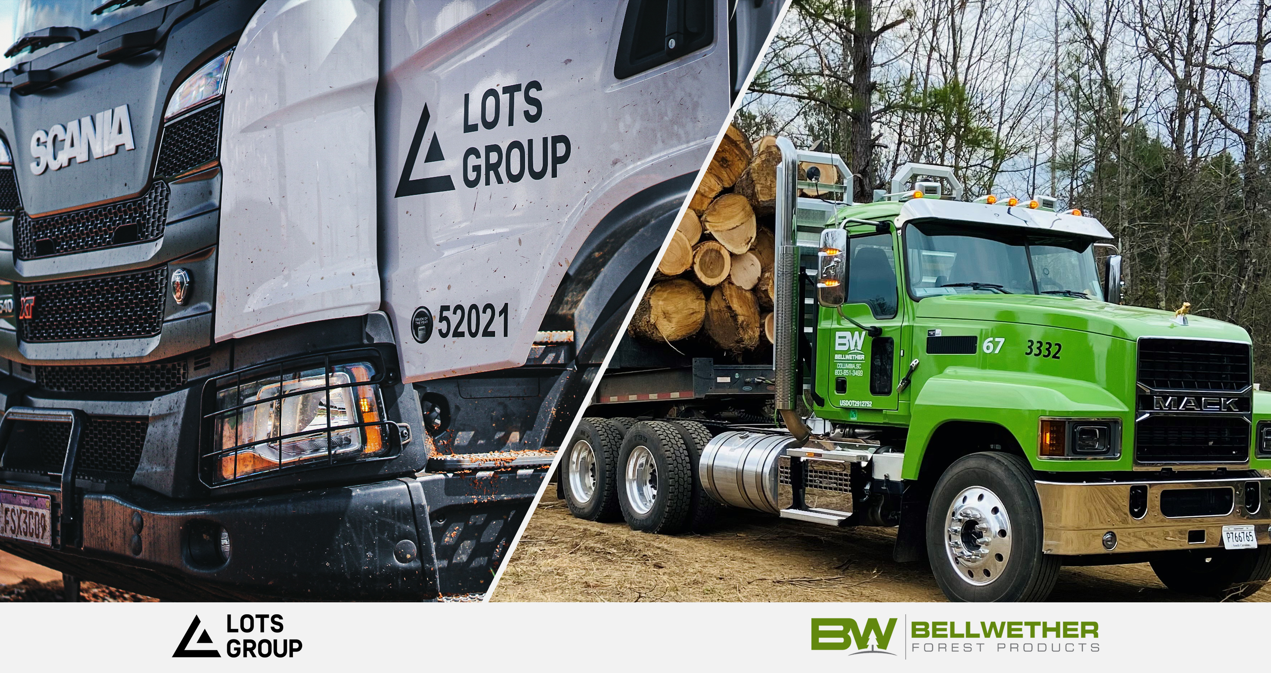 LOTS Group acquires US-based Bellwether Forest Products