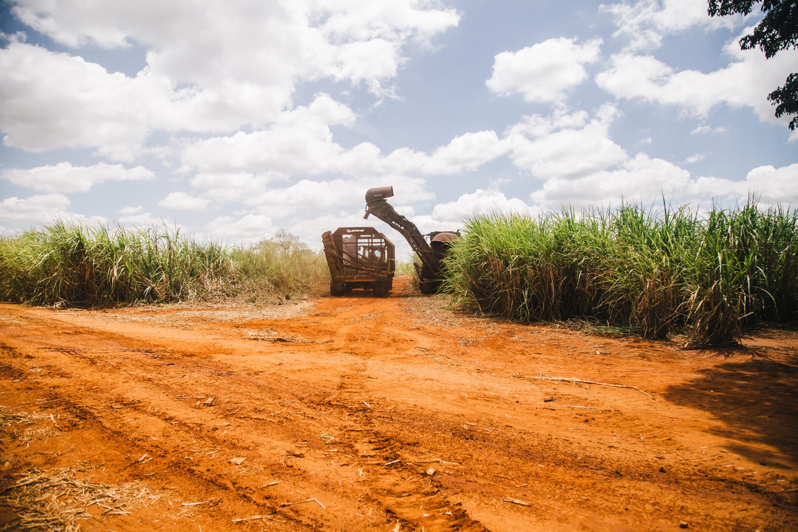 LOTS Group mira expansão no nordeste para transporte de cana-de-açúcar